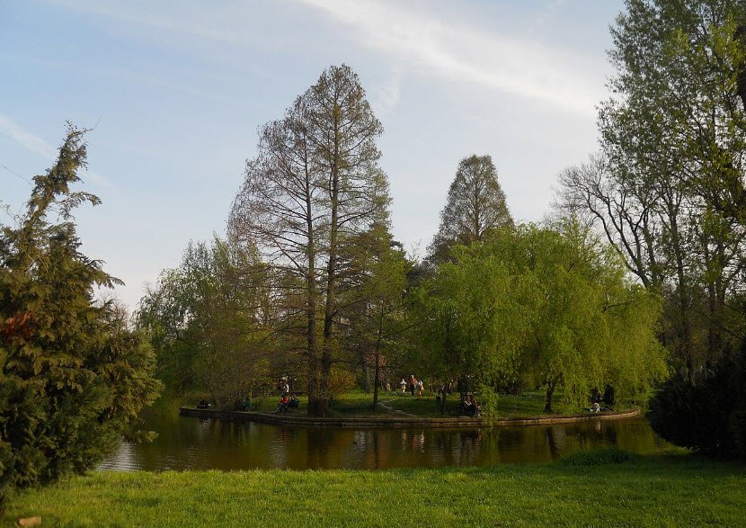 Botanical Garden, Târgu Mureș, Romania, Romania